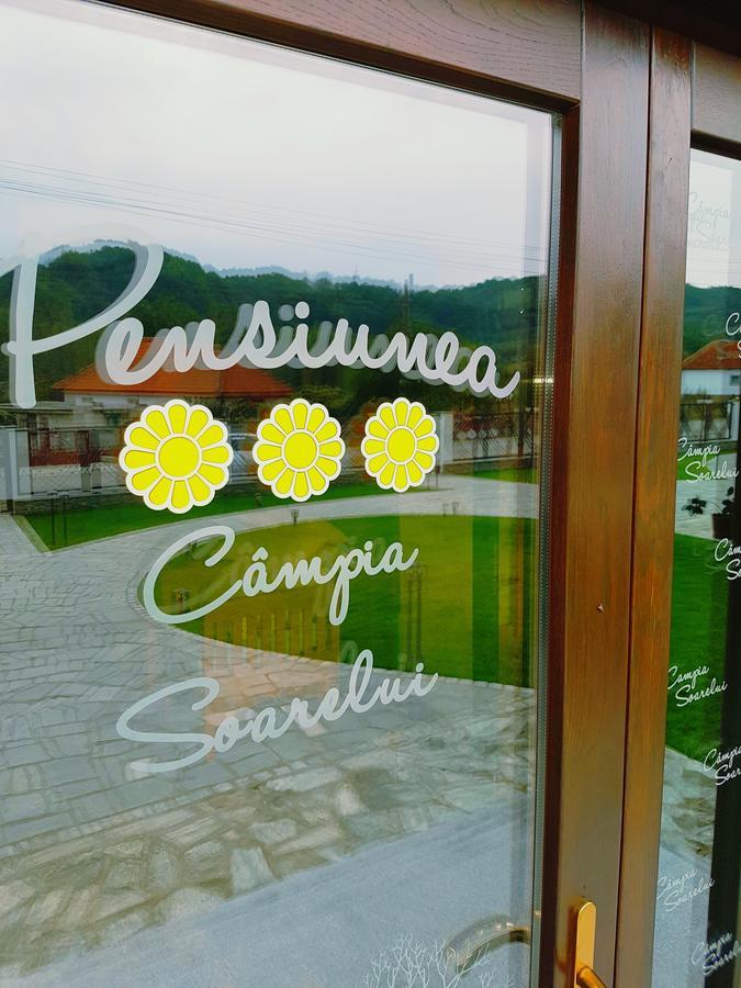 Pensiunea Campia Soarelui Apa Neagră 外观 照片