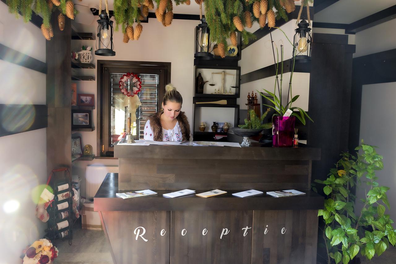 Pensiunea Campia Soarelui Apa Neagră 外观 照片